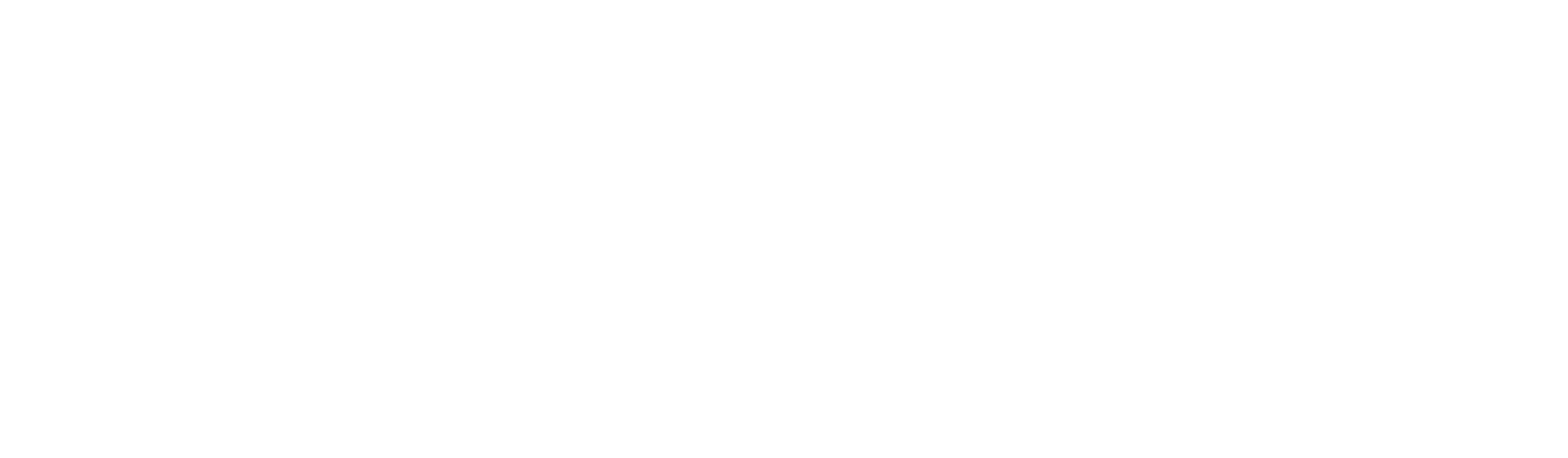 Symphony of the Americas transparent logo